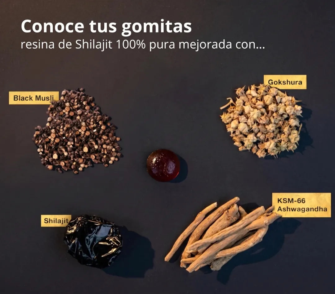 Gomitas de Shilajit Gold 4