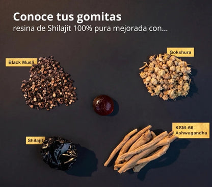 Gomitas de Shilajit Gold 4