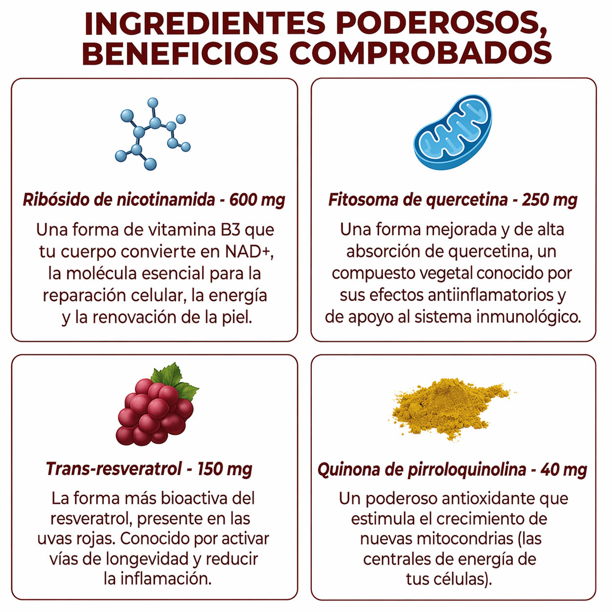 ZOOONE NAD+ Líquido | Absorción inmediata