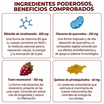 ZOOONE NAD+ Líquido | Absorción inmediata